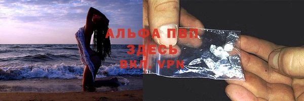 гашик Аркадак