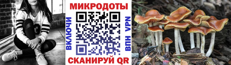Галлюциногенные грибы GOLDEN TEACHER  где найти   Малоархангельск 